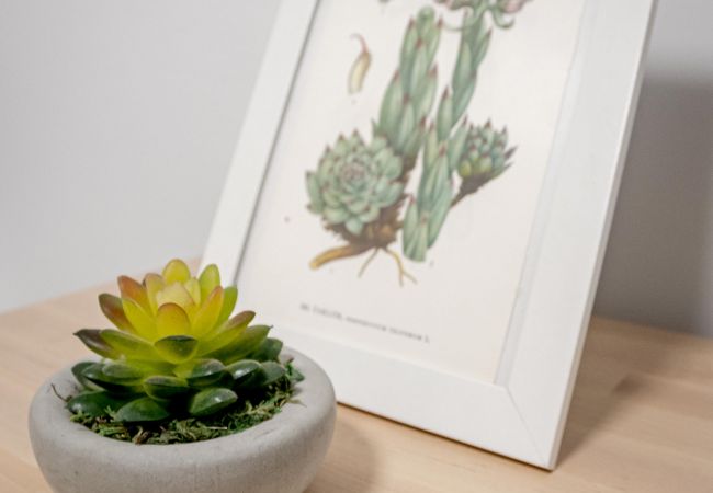 Casa adosada en Nueva andalucia - Aloha Pueblo 1 Casa adosada en Nueva andalucia - Aloha Pueblo 1