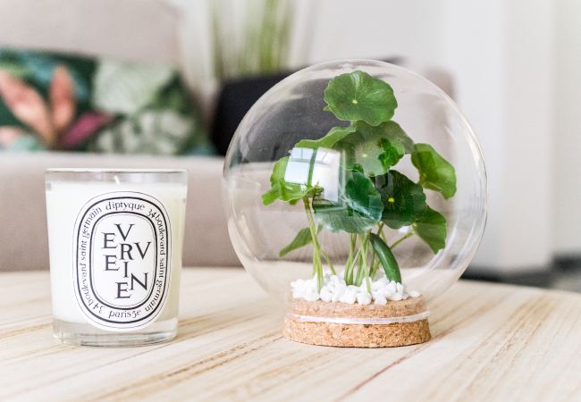 Apartment in Nueva andalucia - Cozy 2 Bedroom Apartment with Amazing Views in Nueva Andalucia  Apartment in Nueva andalucia - Cozy 2 Bedroom Apartment with Amazing Views in Nueva Andalucia