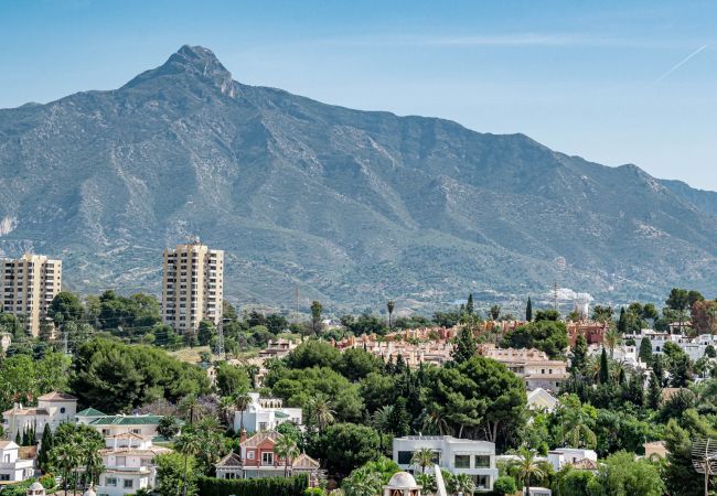 Apartment in Nueva andalucia - Spacious 2 Bedroom Apartment in  Puerto Banus with a Private Terrace and Mountain Views  Apartment in Nueva andalucia - Spacious 2 Bedroom Apartment in  Puerto Banus with a Private Terrace and Mountain Views