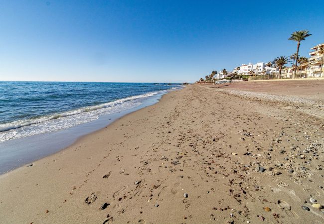 Lägenhet i Nueva andalucia - Stylish getaway appartment near Puerto Banús Lägenhet i Nueva andalucia - Stylish getaway appartment near Puerto Banús